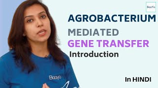 Agrobacterium Mediated Gene Transfer  Part 1  Introduction [upl. by Coward]