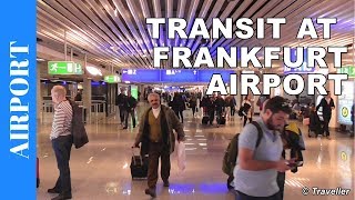 TRANSIT WALK AT FRANKFURT Airport FRA Terminal 1  Connection Flight Transfer Arriving amp Departing [upl. by Abla]