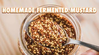 Easy Homemade Fermented Mustard [upl. by Helbon]