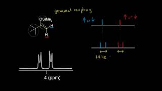 Germinal stage of developmental anatomy [upl. by Adnyc]