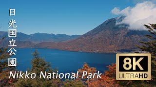 Nikko National Park in Autumn  日光国立公園  8K Ultra HD [upl. by Manuela]