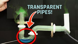 How Do PTraps Work 5 Drain Issues to Watch Out For [upl. by Ahsieken]