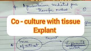 Agrobacterium Mediated gene Transfer Method Plant Tissue Culture by Ritikas Tutorial [upl. by Nilahs]