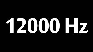 12000 Hz Test Tone 10 Hours [upl. by Ztnarf]