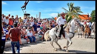 Best Mexican Dancing Horses Show D Mexican Caballos bailando [upl. by Meldoh]