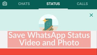 How to Download Whatsapp Status Video and Photo Without Any App  Save Whatsapp Status in Gallery [upl. by Cannell]