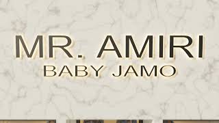 Baby Jamo  Mr Amiri Official Visualizer [upl. by Marcus]