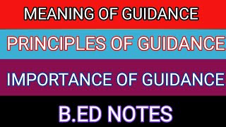 Meaning of guidance principlesimportance of guidancetypes of guidancebedmed notes [upl. by Neel]