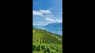 The Lavaux Vineyards Switzerland [upl. by Zurek]