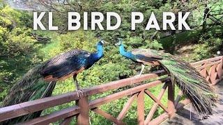 🇲🇾 KL Bird Park 2023  Walk Tour [upl. by Eellek]