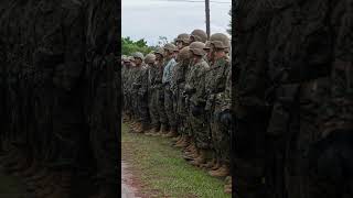 MCRD Parris Island Kilo Company Conducts Rappel Training [upl. by Ianteen606]