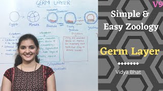 Germ Layers  Formation  Ectoderm  Endoderm  Mesoderm  Derivatives Diploblastic  Triploblastic [upl. by Ahsinnor]