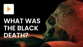 What Was The Black Death [upl. by Sileray]