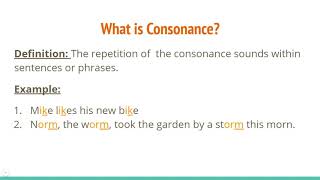 Alliteration Consonance and Assonance [upl. by Ddahc]