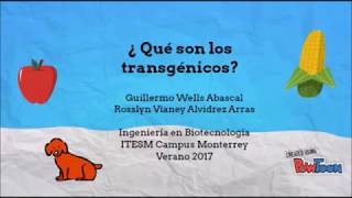 ¿Qué son los alimentos transgénicos [upl. by Adnahsor]