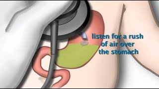 Anatomy 4 Mouth nose pharynx swallowing [upl. by Alex]