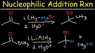 Nucleophilic Addition Reaction Mechanism Grignard Reagent NaBH4 LiAlH4 Imine Enamine Reduction [upl. by Lenoil]