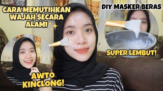 DIY MASKER BERAS  CARA MEMUTIHKAN WAJAH SECARA ALAMI DAN CEPAT  indri meiliana [upl. by Aire]