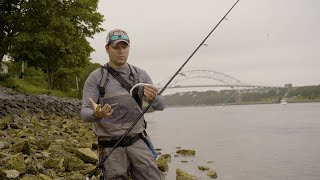 Fishing PaddleTail Swimbaits for Striped Bass [upl. by Aramoy]