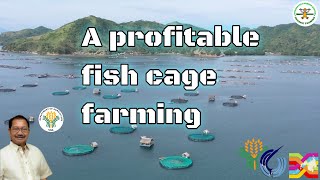 Mariculture a profitable industry  fish cage farming Philippines  Sec Manny Piñol  BFAR [upl. by Kristoforo923]