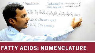 Nomenclature of Fatty acid [upl. by Wolf]