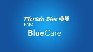 BlueCare Individual amp Family health plans from Florida Blue HMO [upl. by Anyotal233]