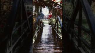 Relaxing Ambient Rain On A Bridge [upl. by Dachy]