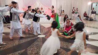 New mast Afghan Pashto dance by Hewad Group to Taher Shubab and Farzana Naz Song in Germany Wedding [upl. by Race605]