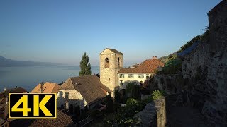 UNESCO Lavaux  StSaphorin Village  Switzerland [upl. by Norramic]