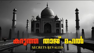 Mysterious facts about Taj mahal  Crazypedia [upl. by Dolan]