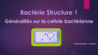 Bactérie Structure 1 BACTERIE [upl. by Joelie174]