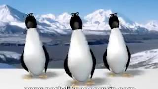 Party Like a Penguin Song for Kids  Lots amp Lots of Penguins  James Coffey [upl. by Adnala]