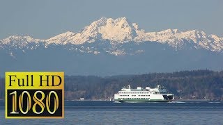 Bremerton Ferry ⛴  Seattle Day Trip [upl. by Keane]