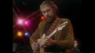 roy buchanan  live  blues [upl. by Roosnam]