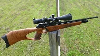 Steyr Hunting 5 Automatic in 45 FAC 10 Schuss auf 41 Meter [upl. by Aeuhsoj386]