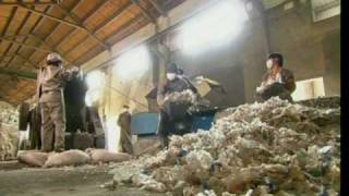 How Plastic Bottles Are Recycled Into Polyester [upl. by Llerrej]