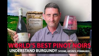 Finest Burgundy Wines  Your Guide to Top Pinot Noirs  VosneRomanée Pommard GevreyChambertin [upl. by Bellew959]